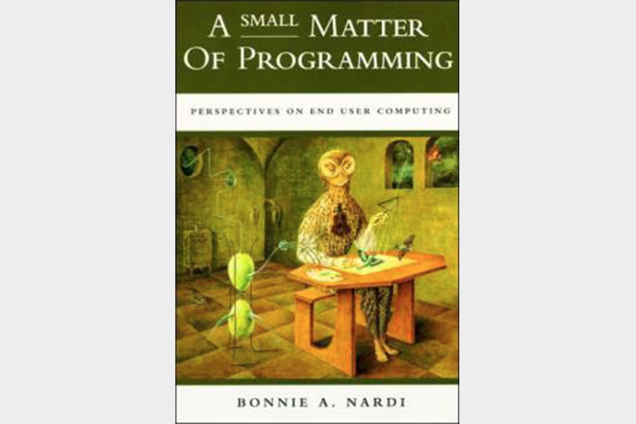 A Small Matter of Programming: Perspectives on End User Computing